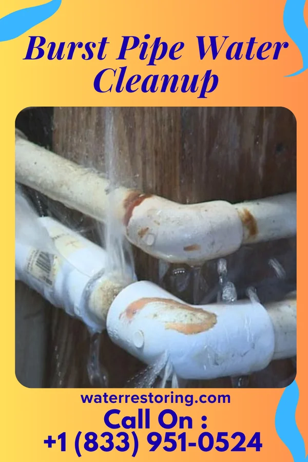 Burst Pipe Water Cleanup in Radar Base, TX