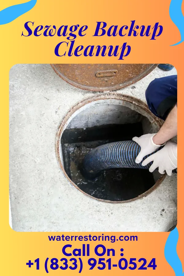 Sewage Backup Cleanup in Radar Base, TX